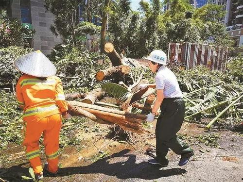 山竹爆料深圳视频,深圳幕后真相大曝光